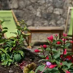 The Mary Arden Inn