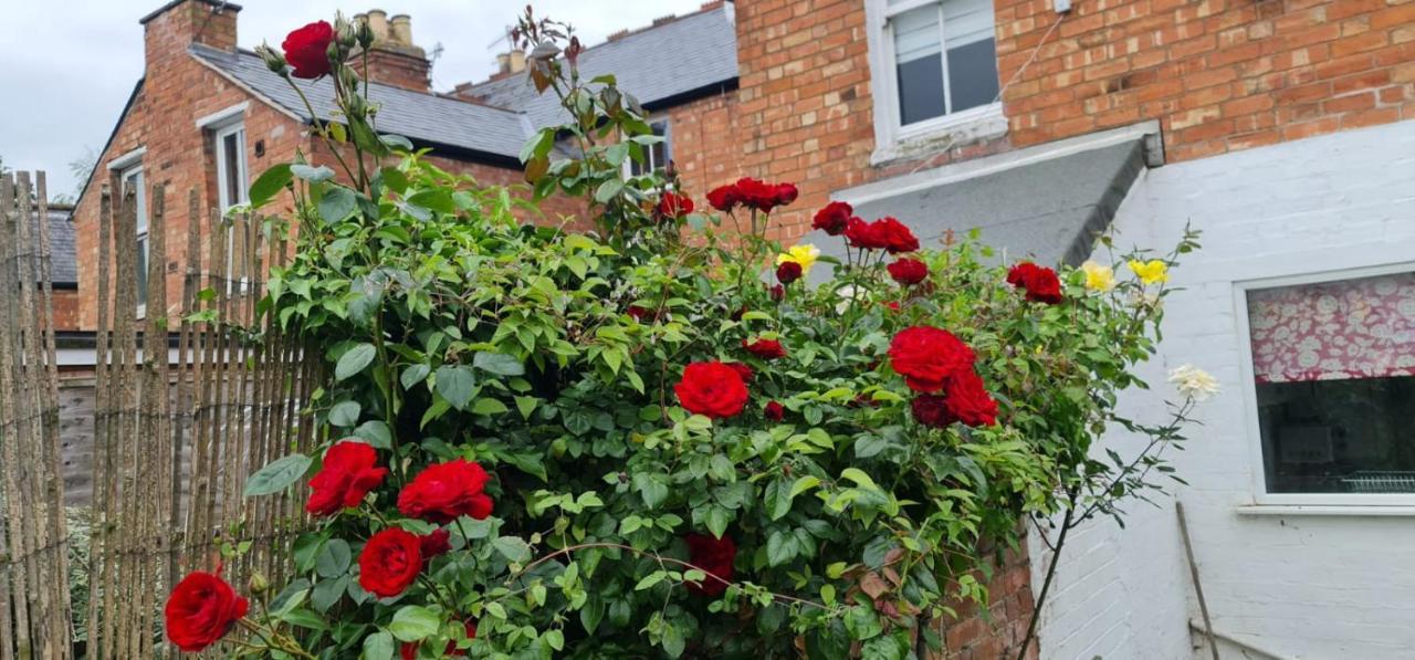 Luna - Grove Road Holiday home Stratford-upon-Avon