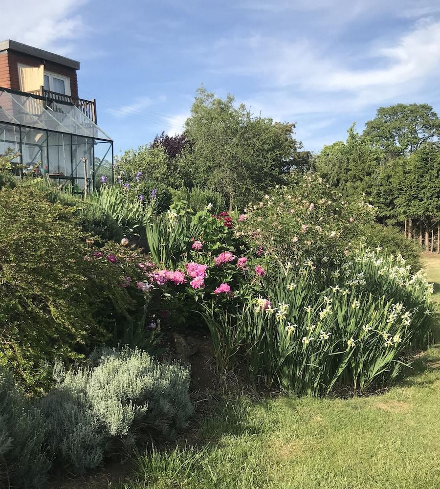 Shakespeare's View Guest house