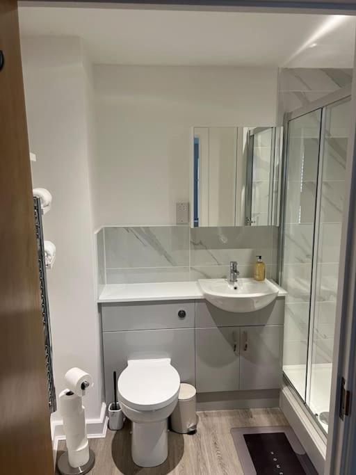 Luxury Town Centre Walking Distance To Rsc Theatre Apartment *