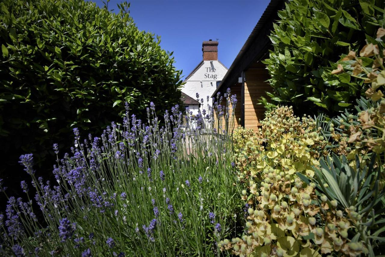 Guest house The Stag 3*