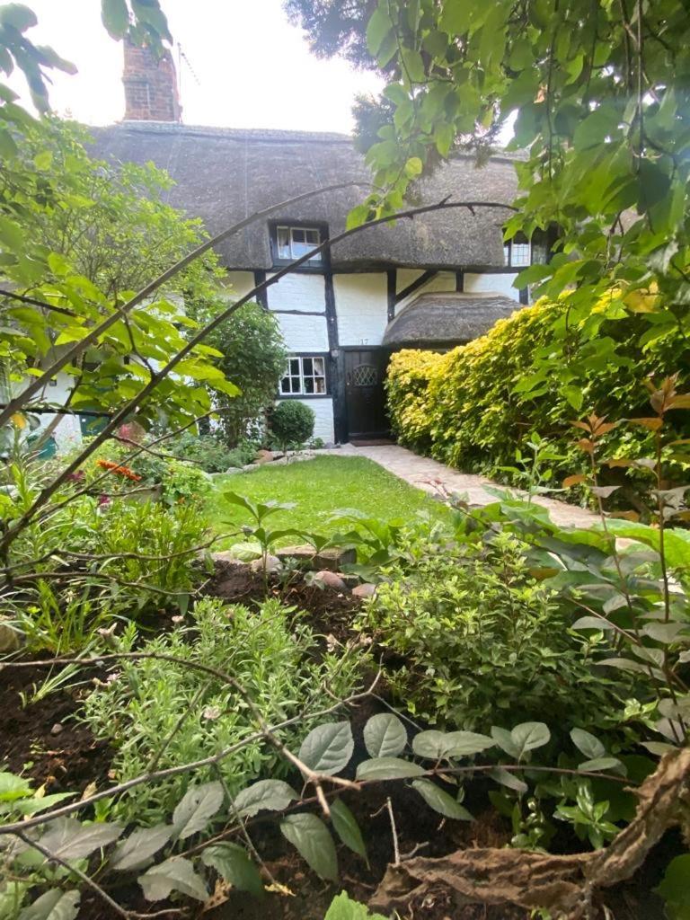 Holiday home Old In Upon Avon *