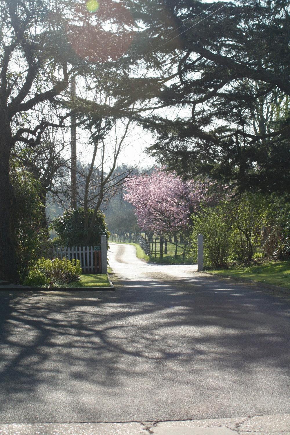 Chácara Ingon Bank Farm *