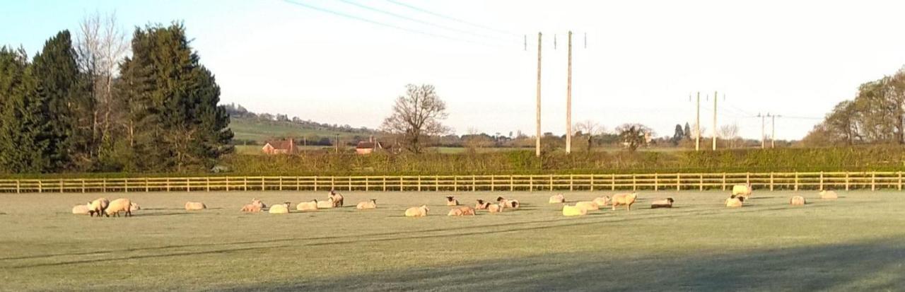 Church Farm Farm stay *